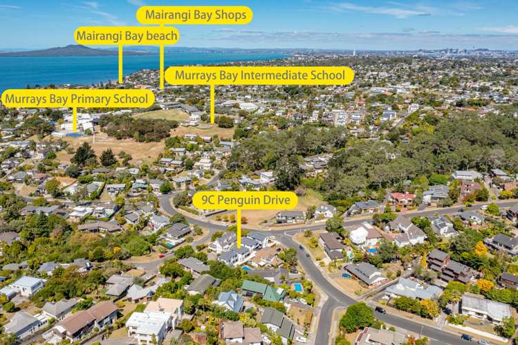 9c Penguin Drive Murrays Bay_2