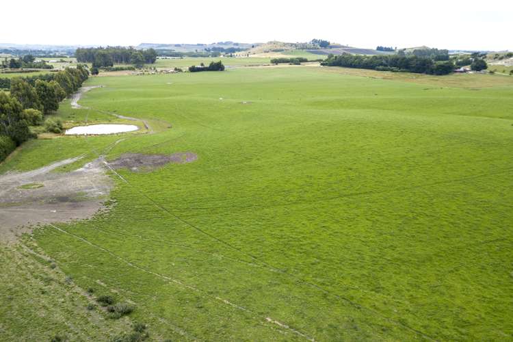 313 Springfield Road Totara_10