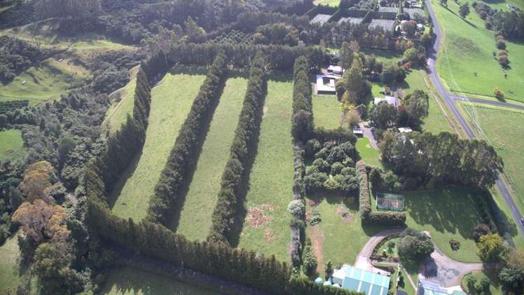 482B Esdaile Road Whakamarama_3