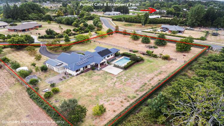 93d Devine Road Tamahere_18