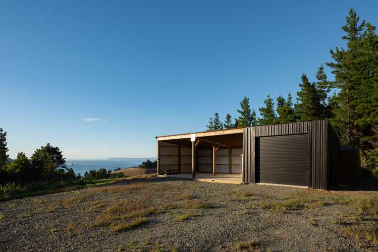 1892 Port Underwood Road Port Underwood_10