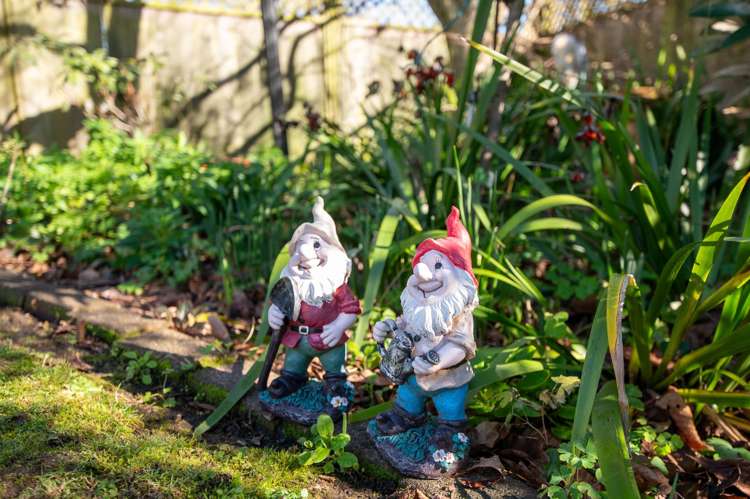 11 Kahurangi Drive Lynmore_20