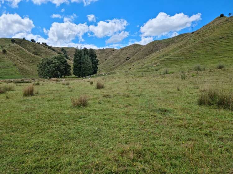 3779 Whanganui River Road (State Highway 43) Ruapehu-King Country Surrounds_11