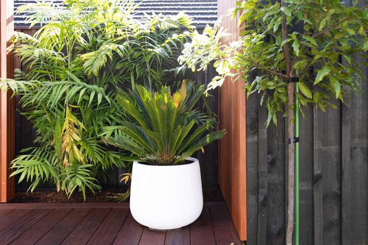 369 Te Taruna Drive Milldale_21