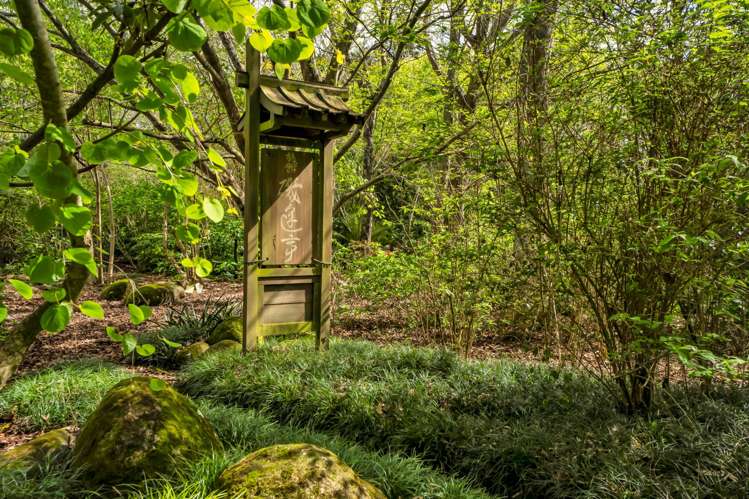 1405 South Road Kaitake_34