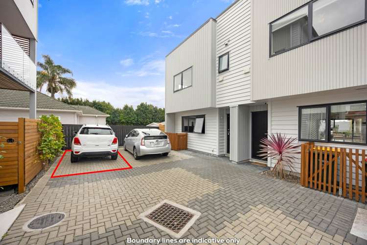 Astley Avenue New Lynn_2