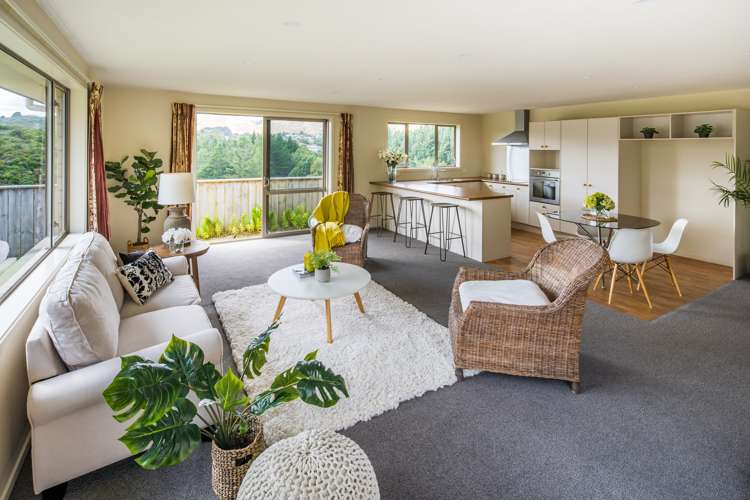 7 Catlins Glen Aotea_6