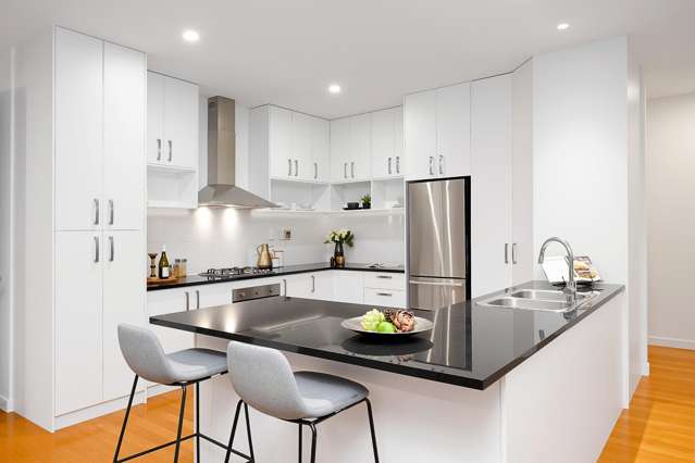 14 Waltham Street Henderson_1