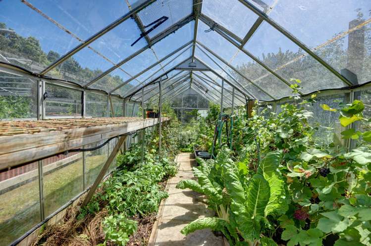 124 State Highway 3 Westmere_25