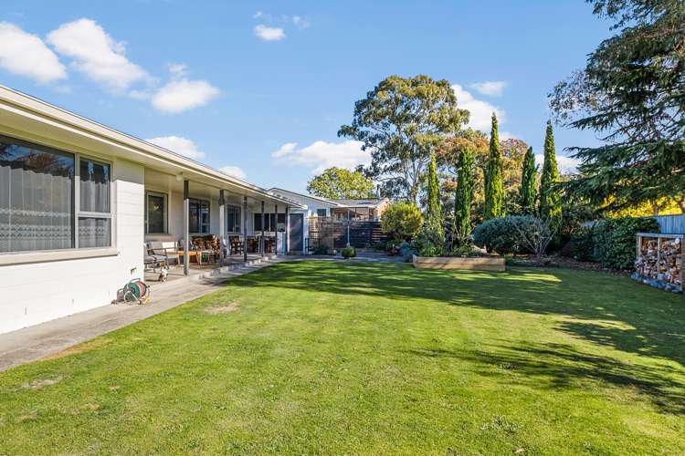 8 Martin Terrace Witherlea_22