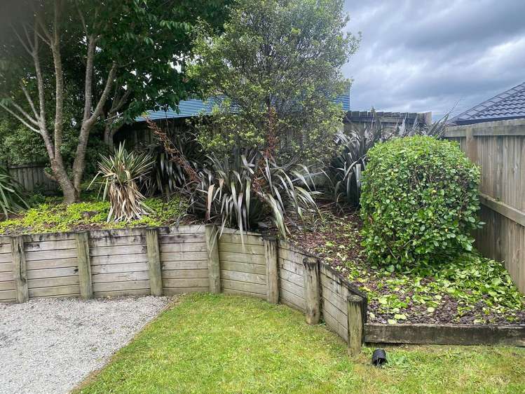 24B Walker Street Waihi_5