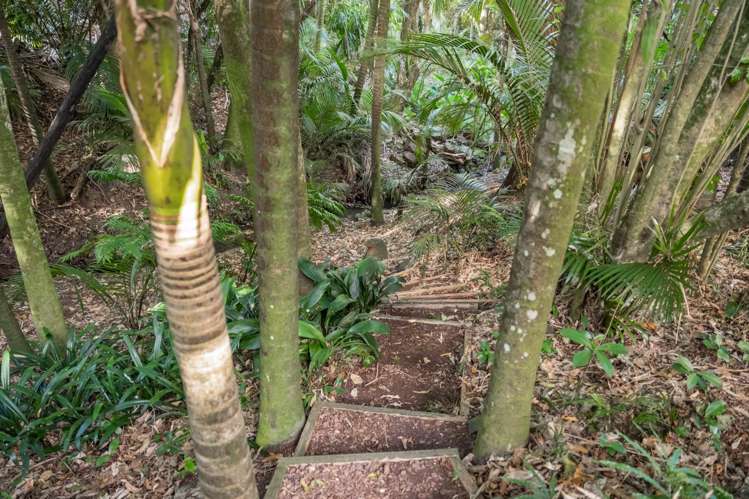 18 Warrington Road Remuera_22