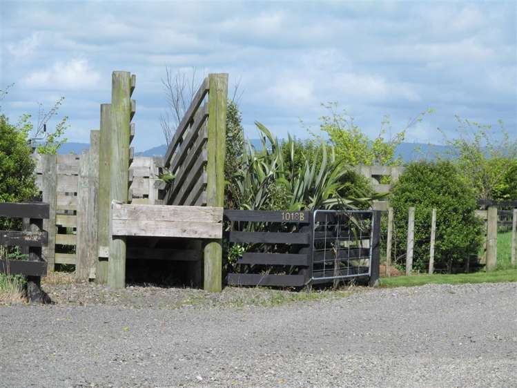 1018b Camerons Line Feilding_25