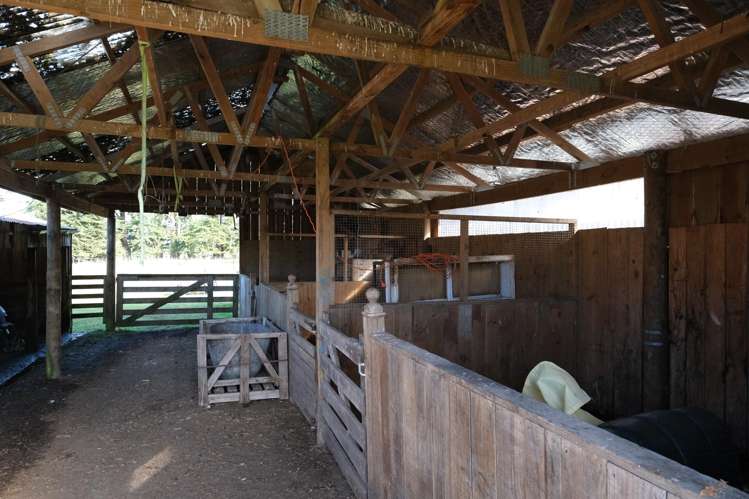 288 Garfield Road Norsewood_41