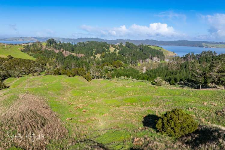 Massey Road Maungaturoto_16