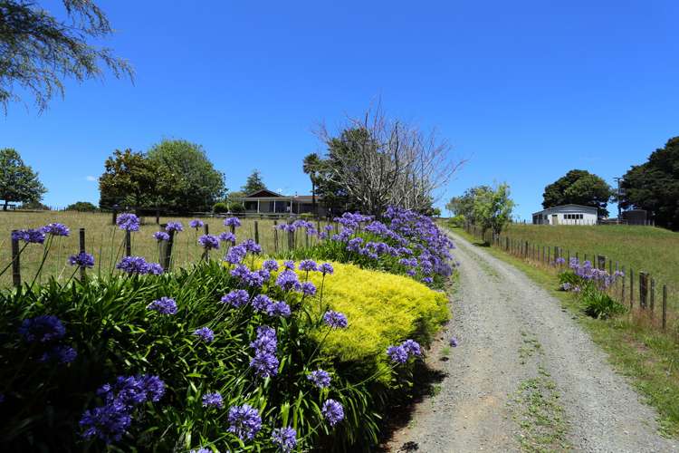 29 Patrick Lane Ramarama_18