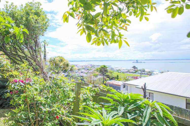 46 Walker Street Bluff_15