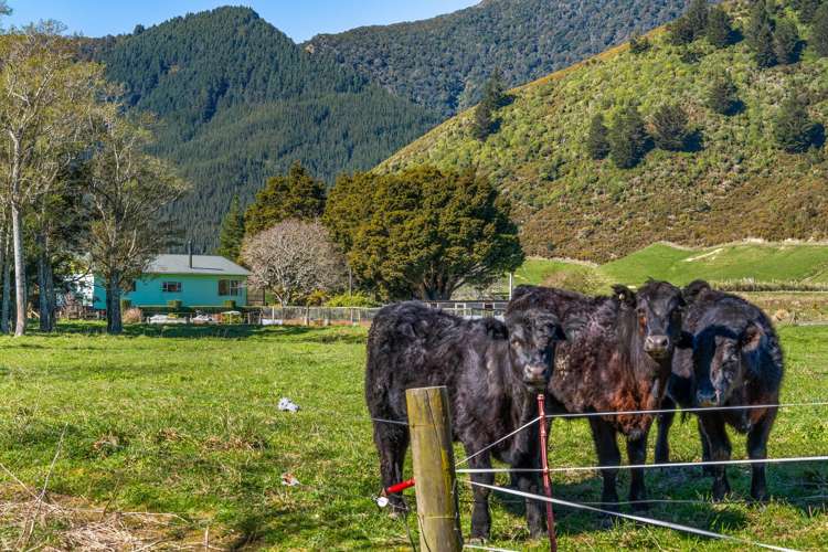 561 Opouri Road Rai Valley_27