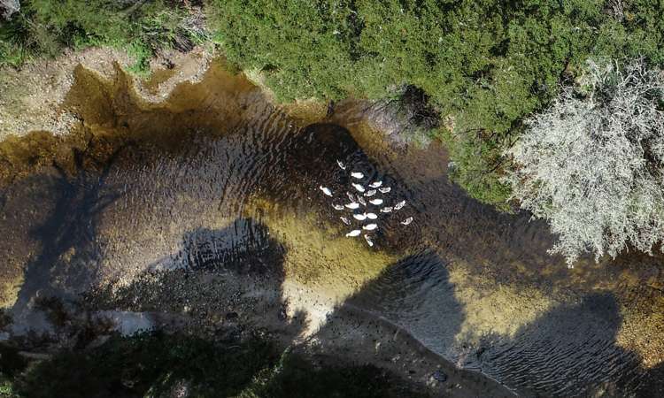 Tadmor-Glenhope Road Tasman_8