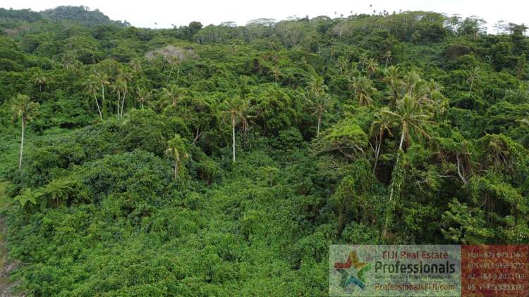 Address withheld Taveuni_22