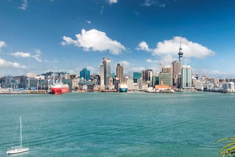 59a Stanley Point Road Stanley Point_17