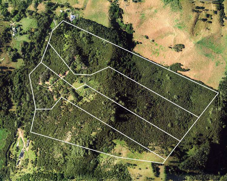 79-85 Awaawaroa Road Waiheke Island_20