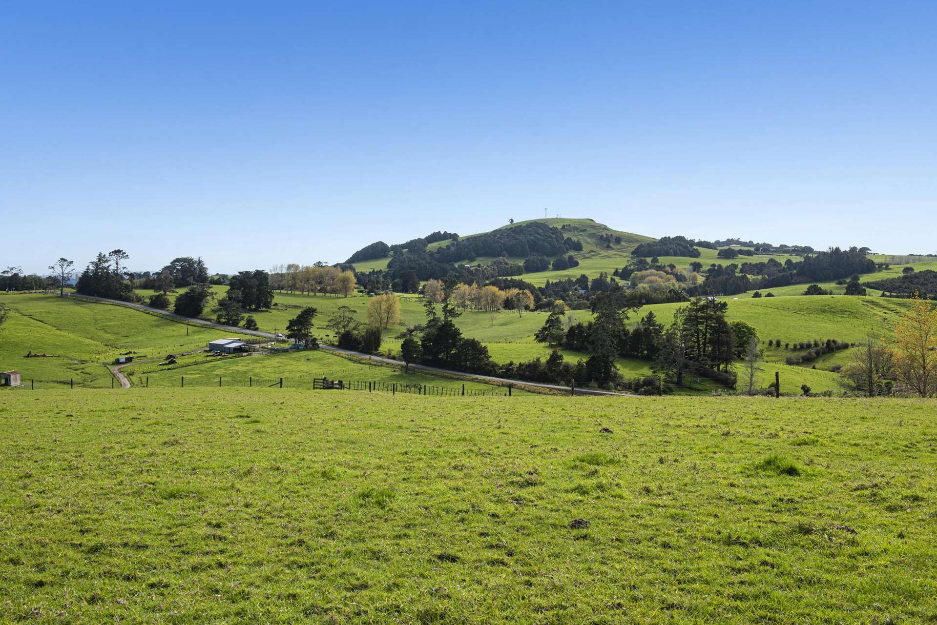 1065 Pipiwai Road Ruatangata West_0