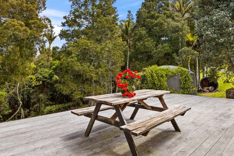 109 Blackbridge Road Dairy Flat_10