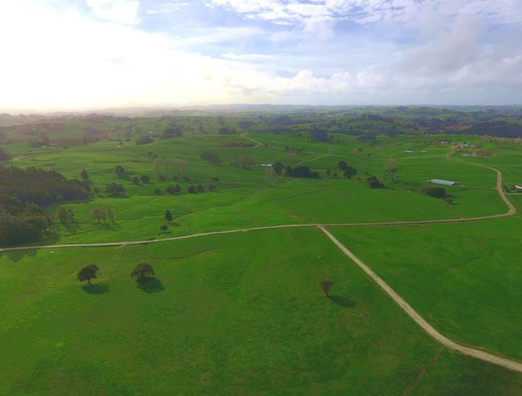 176 Prictor Road Wellsford_12