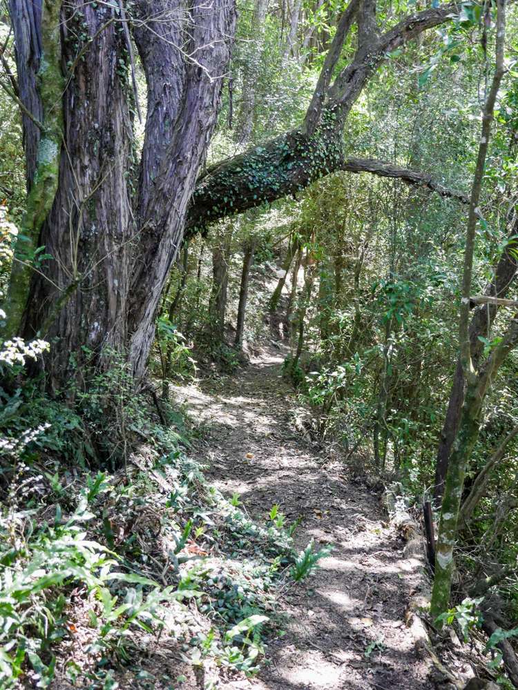 24 Fred Hollows Way Glenleith_9