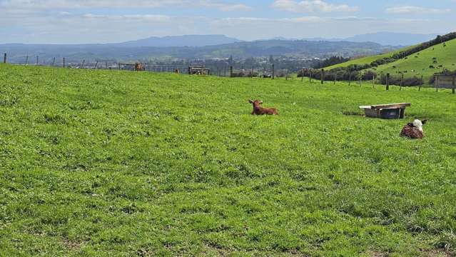 412C Upper Ohauiti Road Ohauiti_1