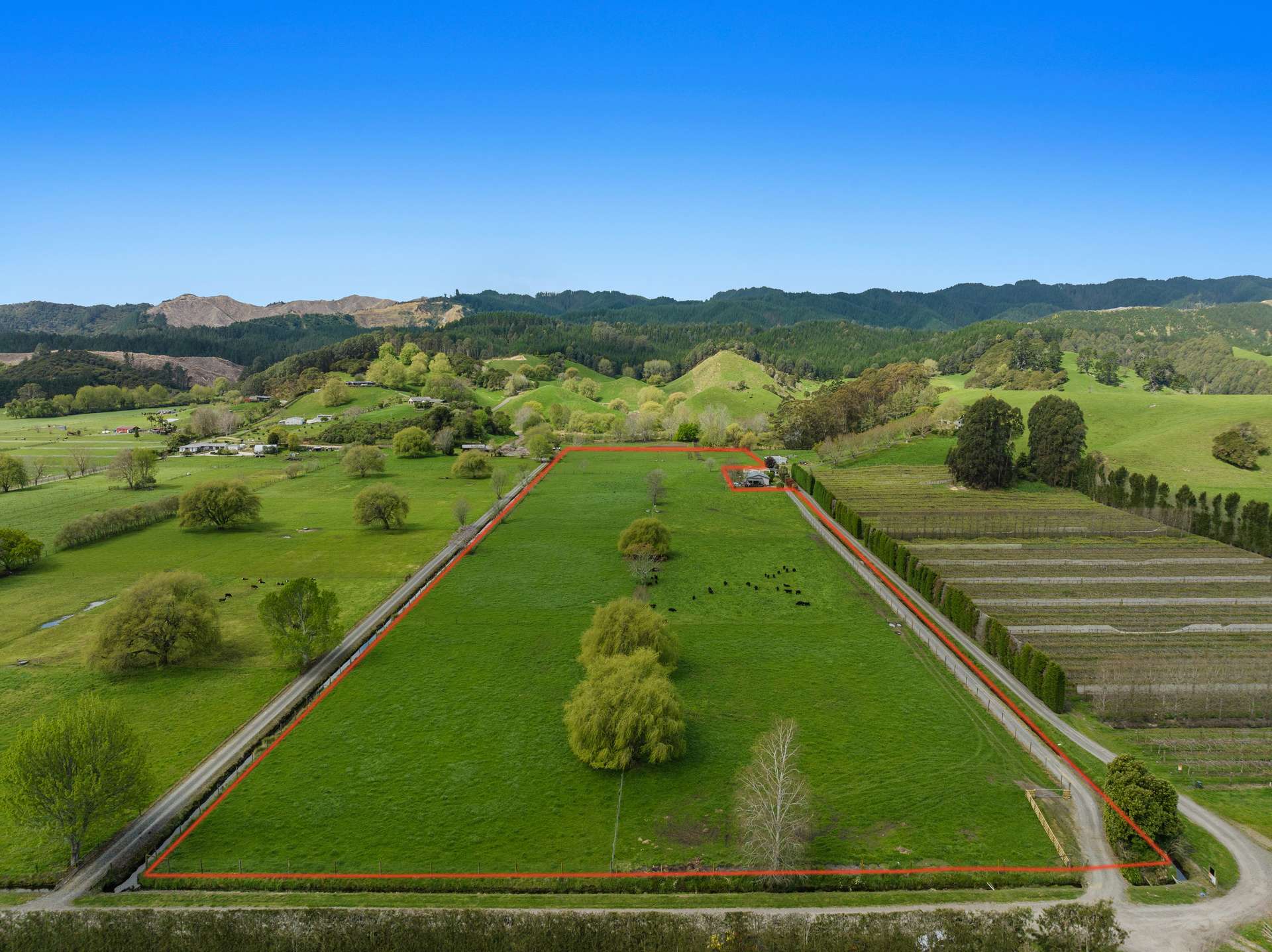 125B Paul Road Whakatane_0