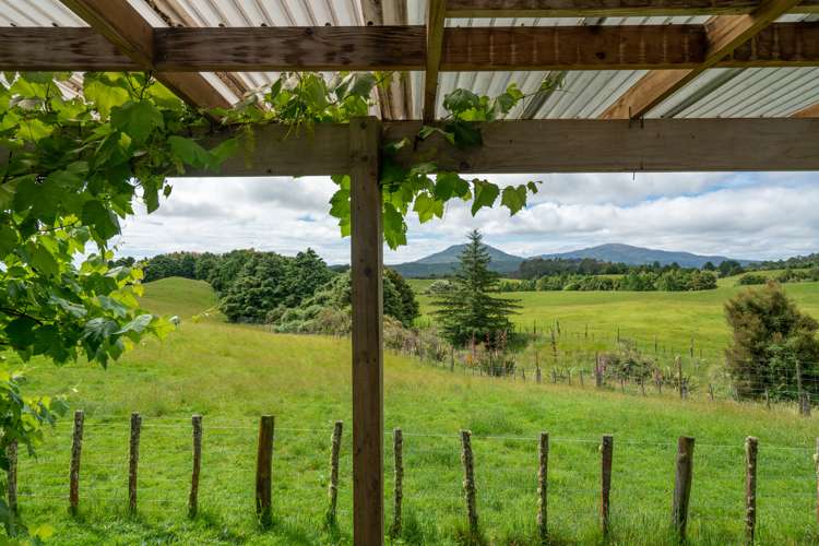 2603 State Highway 41 Kuratau_7