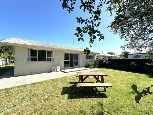 Sun-Soaked Backyard!