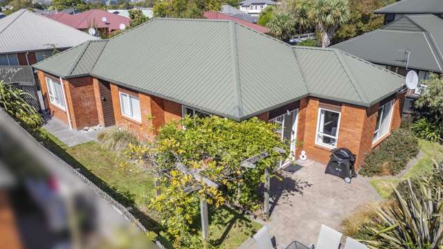 6 Mcleish Lane Spreydon_1