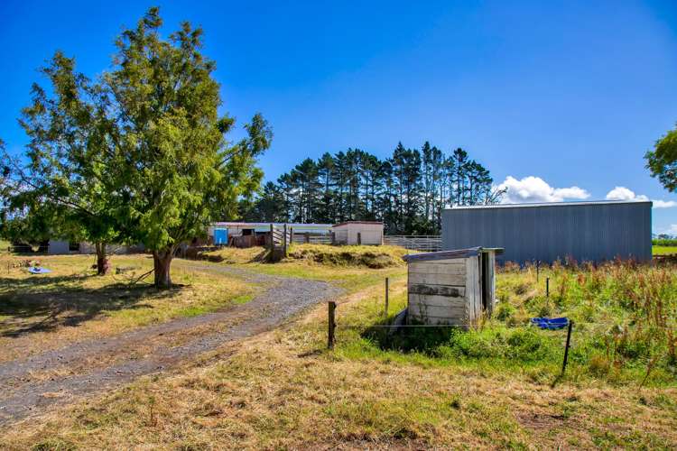 1256 Mangorei Road Mangorei_15