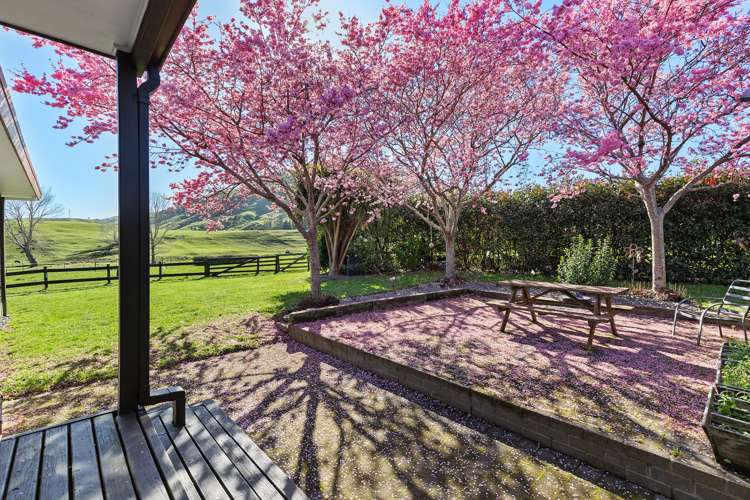 139 Hill Road Te Aroha_19