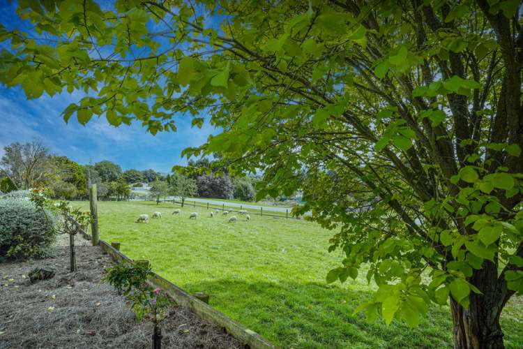 25 Oxford Street Waikari_25