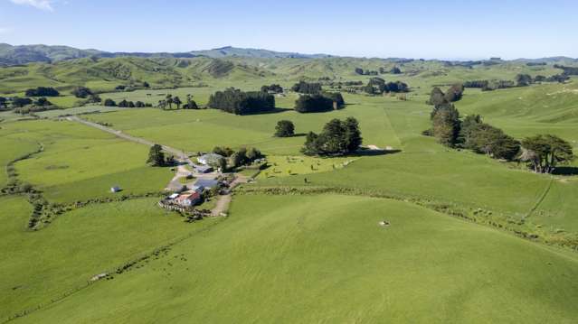 73 Hall Road Eketahuna_2