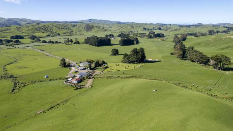 73 Hall Road Eketahuna_2