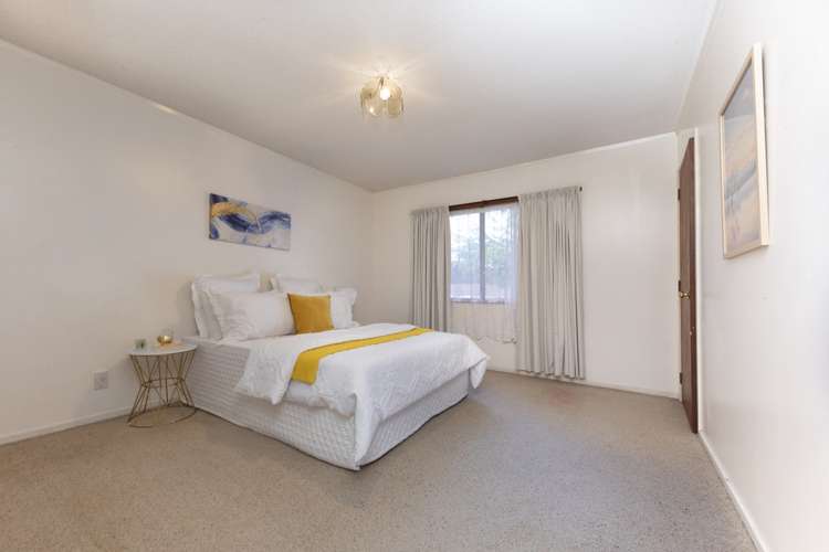 76 Spence Road Henderson_5