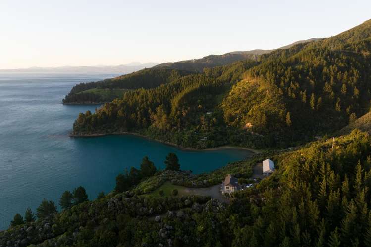 1786 Port Underwood Road Marlborough Sounds_17