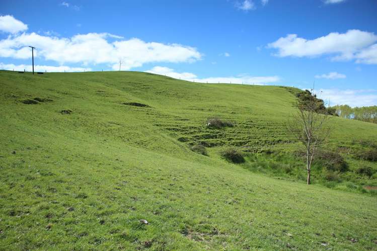 399 Mahuta Road Mangatarata_10