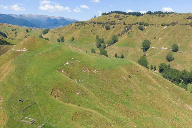 131 Rangitane Road Mangaweka_7