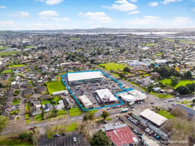 359 Massey Road Mangere East_2