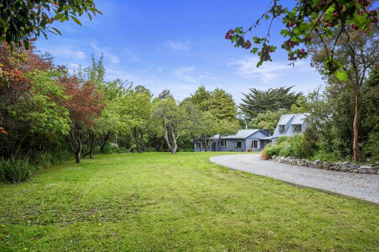 303 Marshmans Road Ashley_17