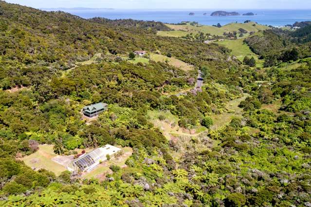 820 Colville Road Coromandel_2