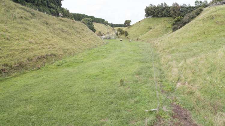 99 Homewood Drive Te Puke_7