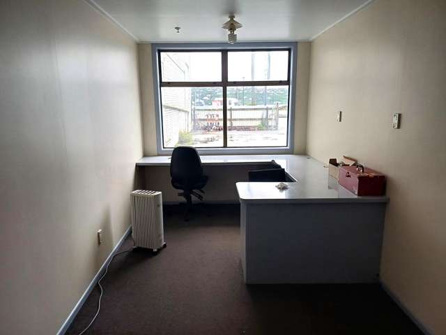 117 Fryatt Street Dunedin Central_2