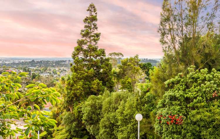 2/117 Glengarry Road Glen Eden_6